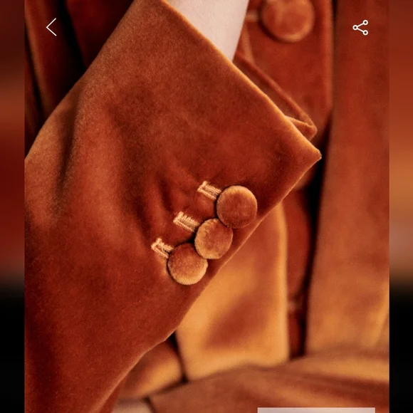 Sezane Michele Brown Velvet Jacket - Picture 4 of 13